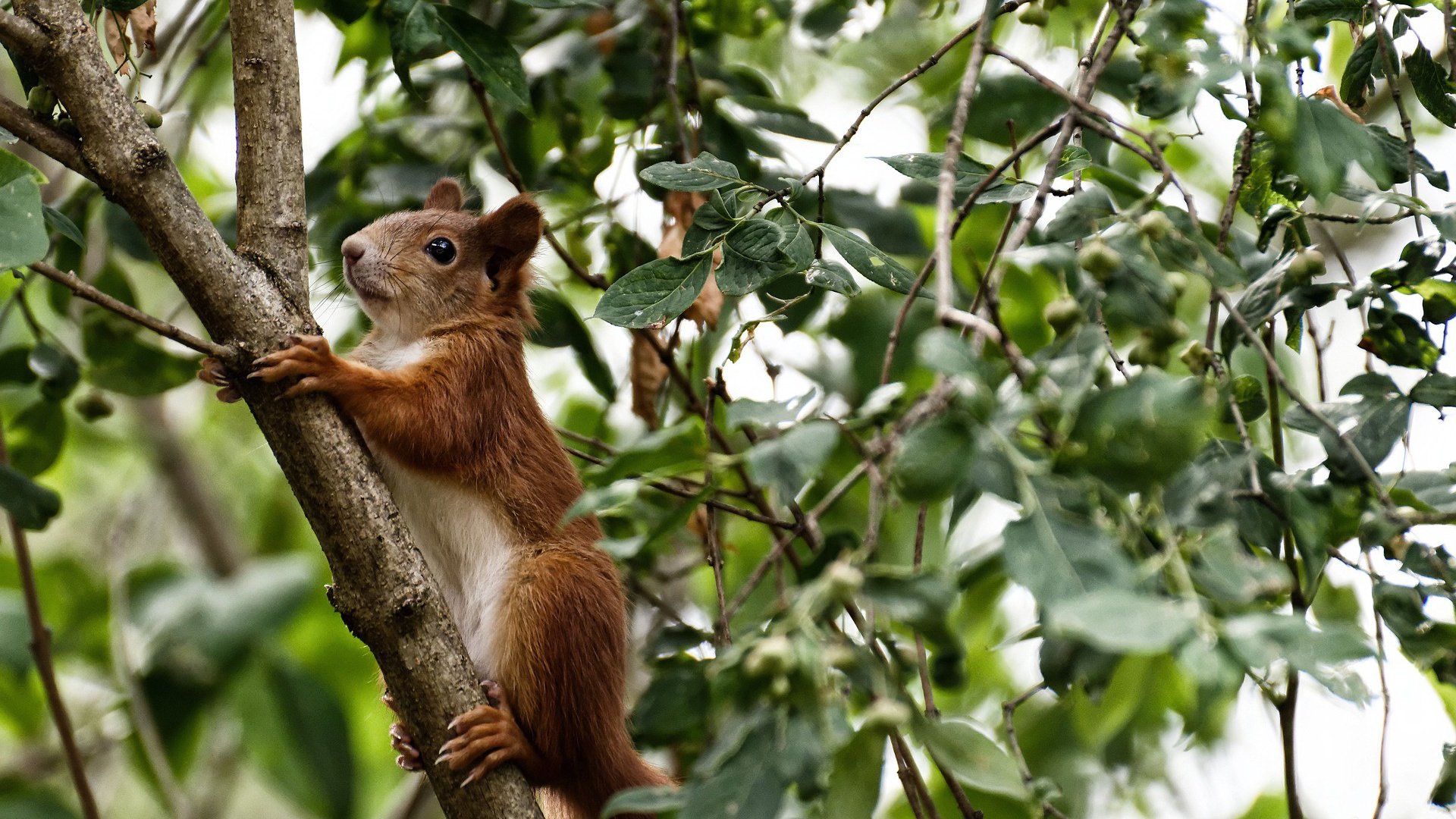 舞台越大，詹姆斯越强！山西队爆冷淘汰篮网的篮球哲学启示
